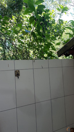 Imagem Apartamento com 1 Quarto à Venda, 44 m² em Maranduba - Ubatuba