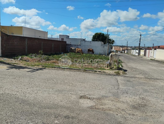 Terreno à Venda, 200 m² em Nova Esperança - Parnamirim