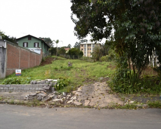 Imagem Imóvel à Venda, 984 m² em Logradouro - Nova Petrópolis