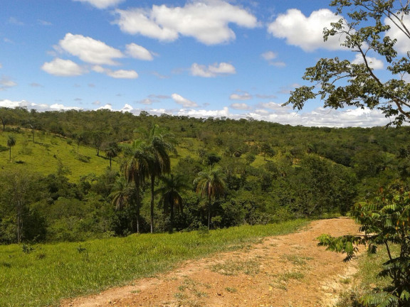 Imagem Imóvel com 3 Quartos à Venda, 1.000 m² em Zona Rural - Baldim