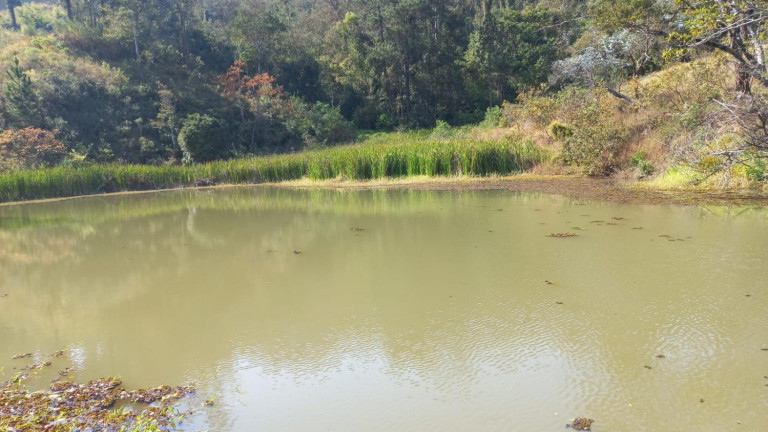 Imagem Fazenda à Venda, 108.000 m² em Centro - Joanópolis Imagem Fazenda à Venda, 108.000 m² em Centro - Joanópolis