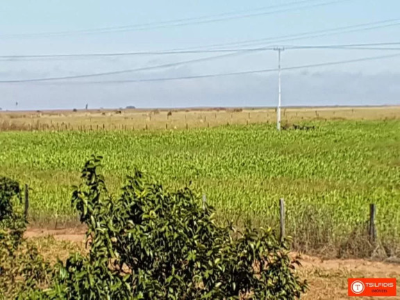 Imagem Fazenda à Venda, 72.600 m² em Zona Rural - Sinop Imagem Fazenda à Venda, 72.600 m² em Zona Rural - Sinop