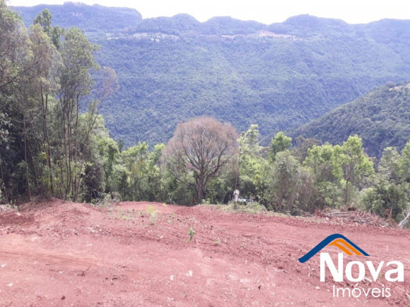 Imagem Imóvel à Venda, 31.701 m² em Linha Pirajá Baixa - Nova Petrópolis