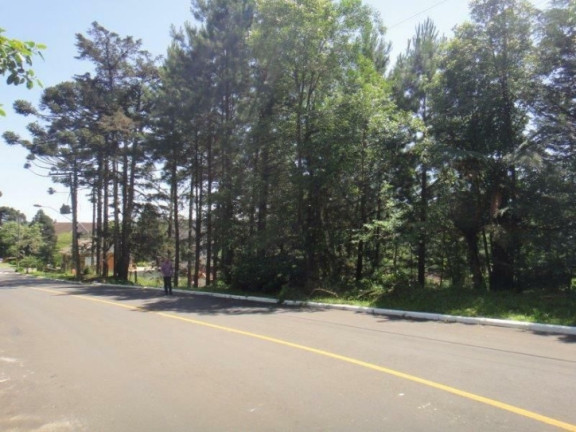 Terreno à Venda, 4.117 m² em Planalto - Gramado