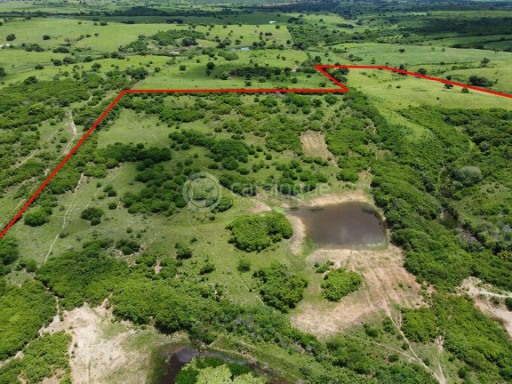 Imagem Fazenda à Venda, 300.000 m² em Lagoa Do Mato - Monte Alegre Imagem Fazenda à Venda, 300.000 m² em Lagoa Do Mato - Monte Alegre