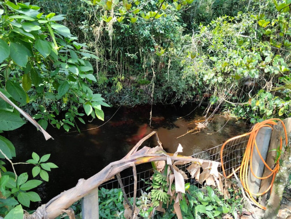 Imagem Chácara à Venda, 384 m² em Conquista - Balneário Barra Do Sul Imagem Chácara à Venda, 384 m² em Conquista - Balneário Barra Do Sul