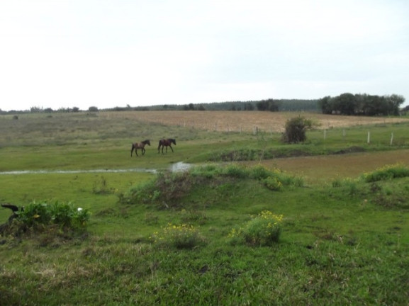 Imagem Chácara com 1 Quarto à Venda, 108.000 m² em Itapuã - Viamão