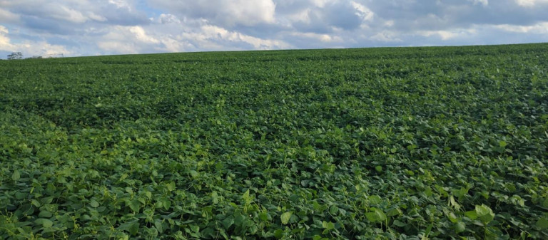 Imagem Fazenda à Venda, 70 m² em Rural - Itapetininga Imagem Fazenda à Venda, 70 m² em Rural - Itapetininga