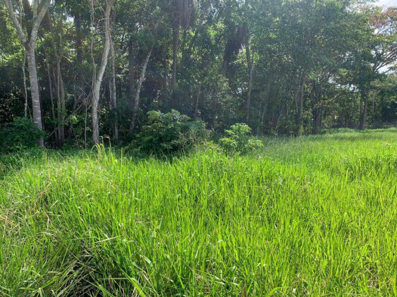 Imagem Fazenda à Venda, 22 m² em Zona Rural - Palmeiras De Goiás Imagem Fazenda à Venda, 22 m² em Zona Rural - Palmeiras De Goiás