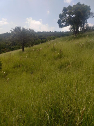 Imagem Terreno à Venda, 100 m² em Bandeira Branca - Jacareí