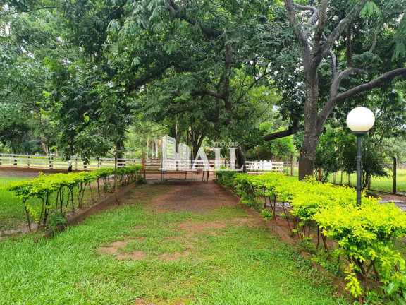 Imagem Fazenda à Venda, 72.600 m² em São Benedito Da Capelinha (zona Rural) - São José Do Rio Preto Imagem Fazenda à Venda, 72.600 m² em São Benedito Da Capelinha (zona Rural) - São José Do Rio Preto
