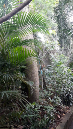 Imagem Terreno à Venda, em Vila Nossa Senhora De Fátima - São Vicente Imagem Terreno à Venda, em Vila Nossa Senhora De Fátima - São Vicente