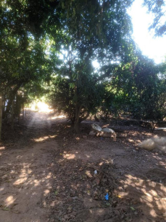 Imagem Chácara com 2 Quartos à Venda, 3.870 m² em área Rural De Lins - Lins Imagem Chácara com 2 Quartos à Venda, 3.870 m² em área Rural De Lins - Lins