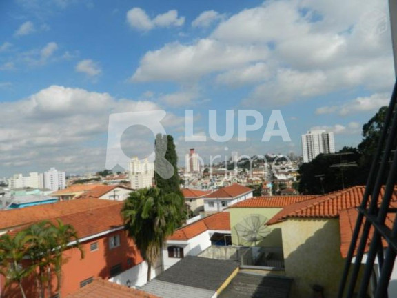 Imagem Casa com 3 Quartos à Venda, 320 m² em Vila Mazzei - São Paulo Imagem Casa com 3 Quartos à Venda, 320 m² em Vila Mazzei - São Paulo