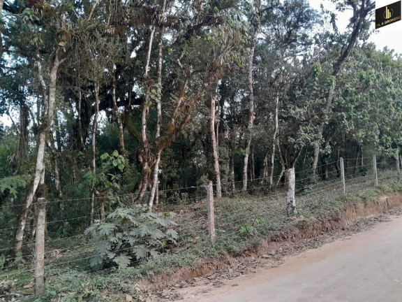 Imagem Imóvel à Venda, 20.000 m² em Ipê - São José Dos Pinhais Imagem Imóvel à Venda, 20.000 m² em Ipê - São José Dos Pinhais