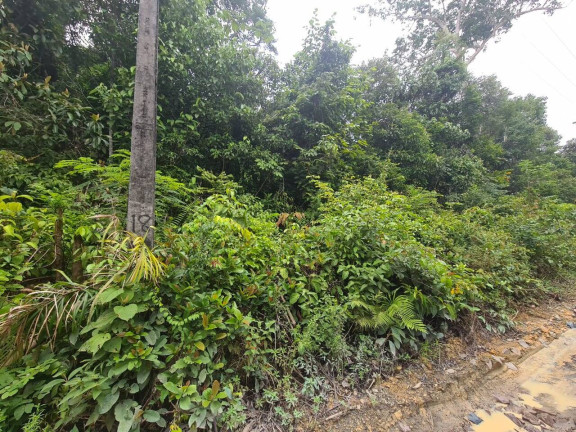 Imagem Terreno à Venda, 100 m² em Tarumã-açu - Manaus Imagem Terreno à Venda, 100 m² em Tarumã-açu - Manaus