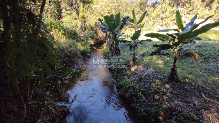 Imagem Imóvel à Venda, em Ribeirão Da Velha - Nova Trento Imagem Imóvel à Venda, em Ribeirão Da Velha - Nova Trento