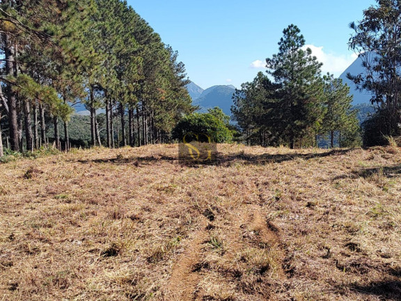 Imagem Terreno à Venda, 428 m² em Albuquerque - Teresópolis Imagem Terreno à Venda, 428 m² em Albuquerque - Teresópolis