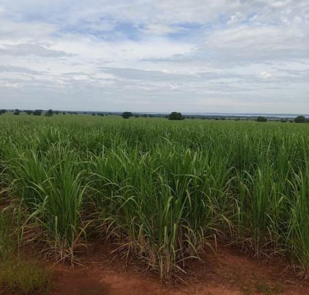 Imóvel à Venda, 125 m² em área Rural De Dracena - Dracena