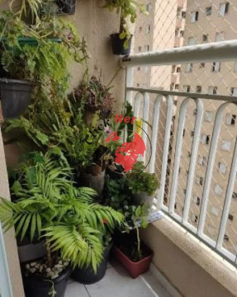 Imagem Apartamento com 2 Quartos à Venda, 48 m² em Vila Gonçalves - São Bernardo Do Campo Imagem Apartamento com 2 Quartos à Venda, 48 m² em Vila Gonçalves - São Bernardo Do Campo