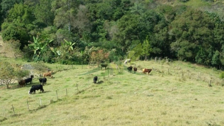 Imagem Chácara com 4 Quartos à Venda, 193.600 m² em Centro - Piracaia Imagem Chácara com 4 Quartos à Venda, 193.600 m² em Centro - Piracaia