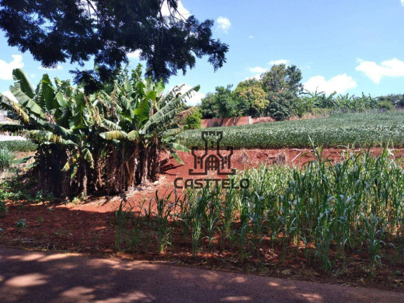Imagem Fazenda à Venda, 121.000 m² em Coroados - Londrina Imagem Fazenda à Venda, 121.000 m² em Coroados - Londrina