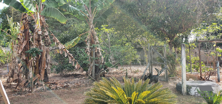 Imagem Imóvel com 3 Quartos à Venda,  em Tropeiros - Esmeraldas