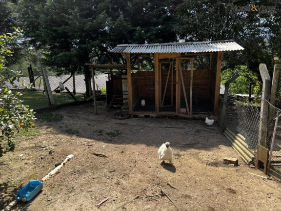 Imagem Chácara à Venda, 6.300 m² em Zona Rural - Tijucas Do Sul Imagem Chácara à Venda, 6.300 m² em Zona Rural - Tijucas Do Sul