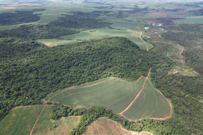 Imagem Fazenda à Venda, 53 m² em Zona Rural - Ibaté Imagem Fazenda à Venda, 53 m² em Zona Rural - Ibaté