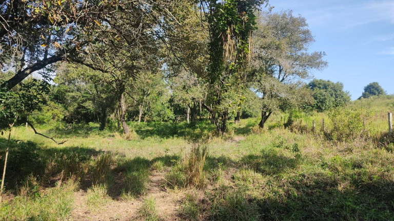 Imagem Chácara à Venda, 35 m² em édem - Sorocaba Imagem Chácara à Venda, 35 m² em édem - Sorocaba