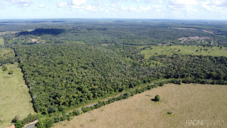 Imagem Fazenda à Venda, 7.140.000 m² em Zona Rural - Cardeal Da Silva Imagem Fazenda à Venda, 7.140.000 m² em Zona Rural - Cardeal Da Silva