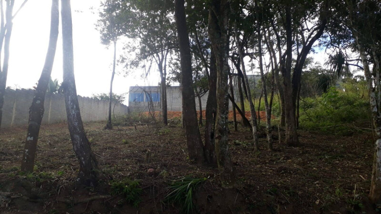 Imagem Terreno à Venda, 1.000 m² em Ortizes - Piedade Imagem Terreno à Venda, 1.000 m² em Ortizes - Piedade