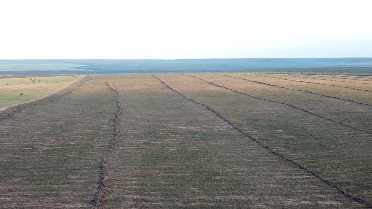 Imagem Fazenda à Venda, 1 m² em Mateiros Imagem Fazenda à Venda, 1 m² em Mateiros