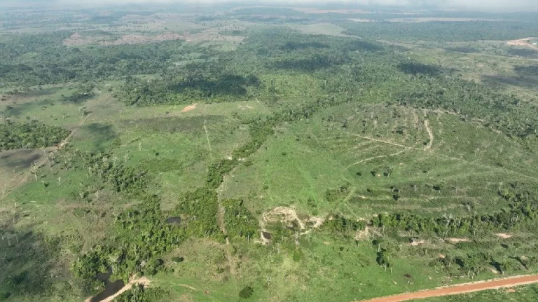 Imagem Fazenda à Venda, 650 m² em Zona Rural - Marcelândia Imagem Fazenda à Venda, 650 m² em Zona Rural - Marcelândia