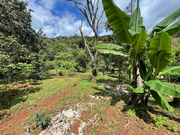 Imagem Chácara com 4 Quartos à Venda, 3 m² em Santa Terezinha De Minas - Itatiaiuçu Imagem Chácara com 4 Quartos à Venda, 3 m² em Santa Terezinha De Minas - Itatiaiuçu