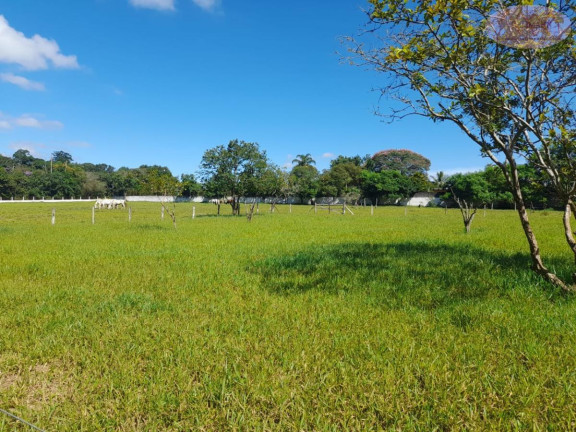 Imagem Imóvel com 5 Quartos à Venda, 128 m² em Ipelândia - Suzano