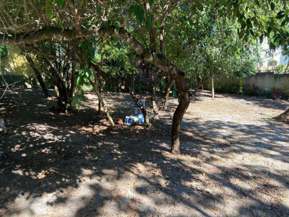 Imagem Terreno à Venda, em Centro Da Praia De Pipa - Tibau Do Sul Imagem Terreno à Venda, em Centro Da Praia De Pipa - Tibau Do Sul