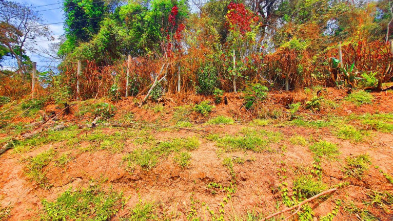 Imagem Imóvel à Venda, 700 m² em Loteamento Bosque Dos Palmares - Atibaia Imagem Imóvel à Venda, 700 m² em Loteamento Bosque Dos Palmares - Atibaia