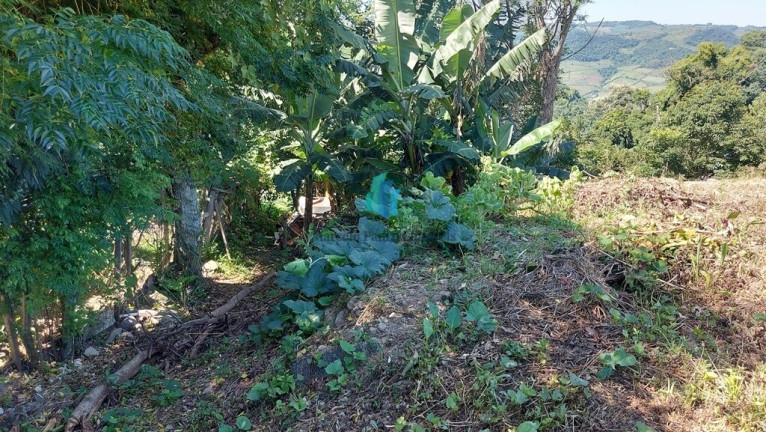 Imagem Terreno à Venda, 756 m² em Faria Lemos - Bento Gonçalves Imagem Terreno à Venda, 756 m² em Faria Lemos - Bento Gonçalves