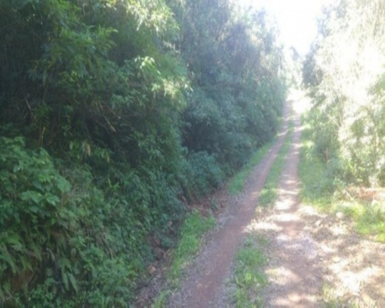 Imagem Terreno à Venda, 3 m² em Linha Pirajá Alta - Nova Petrópolis Imagem Terreno à Venda, 3 m² em Linha Pirajá Alta - Nova Petrópolis