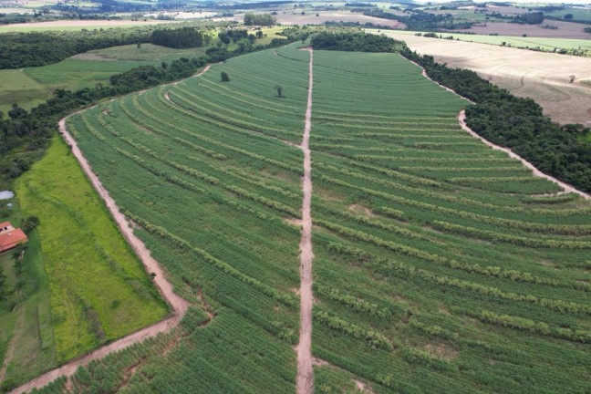 Imagem Chácara à Venda, 16 m² em Zona Rural - Cajuru Imagem Chácara à Venda, 16 m² em Zona Rural - Cajuru