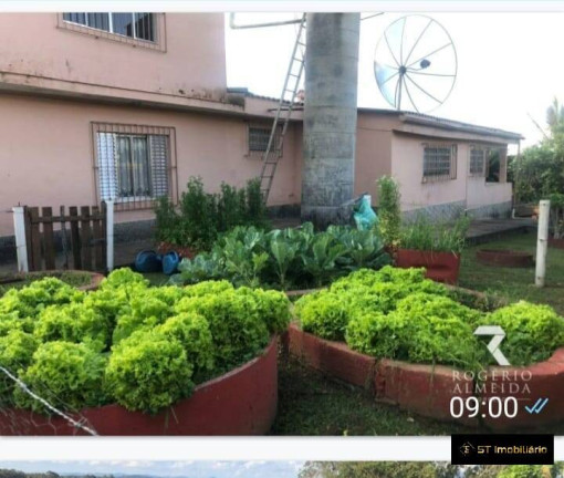 Chácara com 5 Quartos à Venda, 2 m² em Mato Dentro - Mairiporã