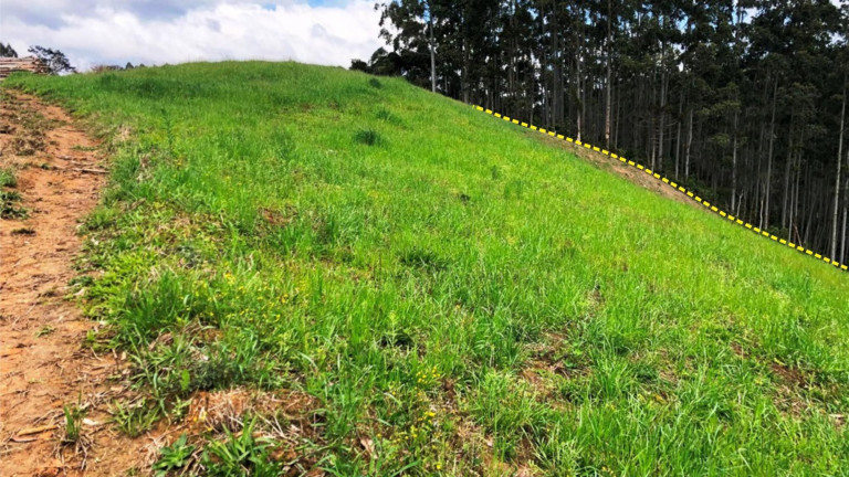 Imagem Imóvel com 3 Quartos à Venda, 30.000 m² em Zona Rural - Presidente Nereu