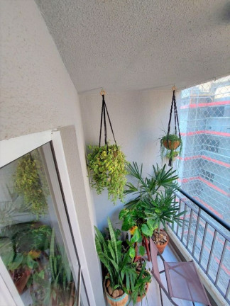 Imagem Apartamento com 1 Quarto à Venda, 38 m² em Jardim Ampliação - São Paulo Imagem Apartamento com 1 Quarto à Venda, 38 m² em Jardim Ampliação - São Paulo
