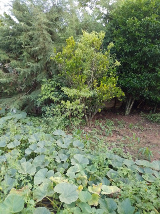 Imagem Chácara com 2 Quartos à Venda,  em Estância São Paulo - Campo Limpo Paulista