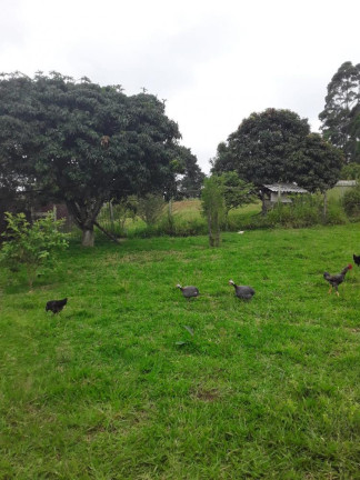 Imagem Imóvel com 2 Quartos à Venda, 1.500 m² em Caete (mailasqui) - São Roque Imagem Imóvel com 2 Quartos à Venda, 1.500 m² em Caete (mailasqui) - São Roque
