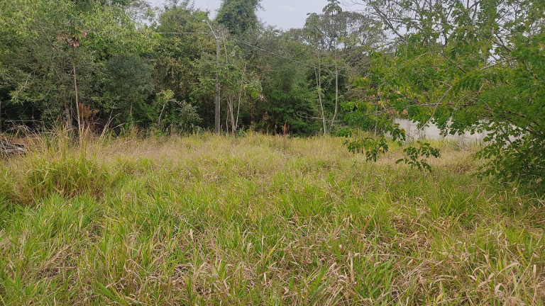 Imagem Chácara à Venda, 1 m² em Bosque Dos Eucaliptos - Araçoiaba Da Serra Imagem Chácara à Venda, 1 m² em Bosque Dos Eucaliptos - Araçoiaba Da Serra