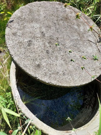 Imagem Terreno à Venda, 1.200 m² em Albuquerque - Teresópolis Imagem Terreno à Venda, 1.200 m² em Albuquerque - Teresópolis