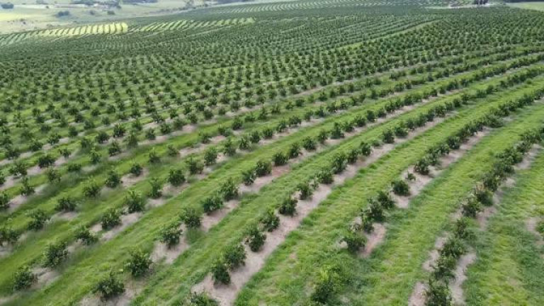 Imagem Fazenda à Venda, 121 m² em Rio Pardo - águas De Santa Bárbara