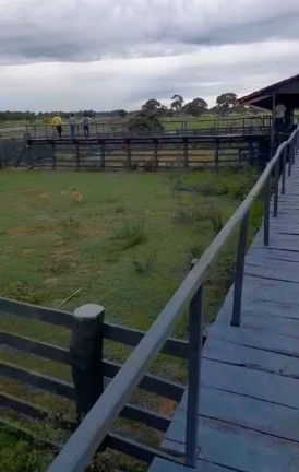 Imagem Fazenda à Venda, 8 m² em Poconé Imagem Fazenda à Venda, 8 m² em Poconé